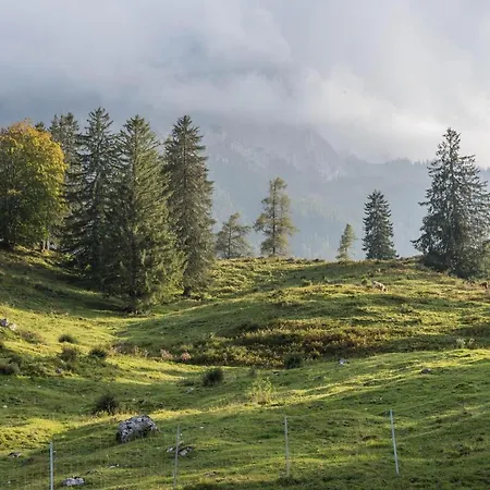 Guffertblick Διαμέρισμα *